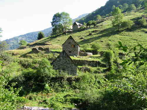 pnr, pyrenees, ariegeoises